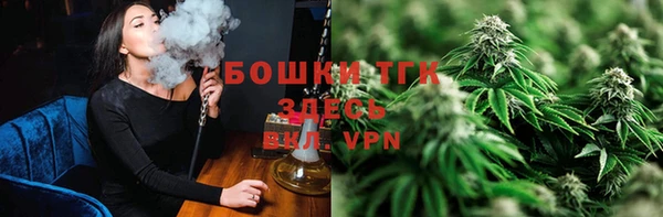 гидра Аркадак