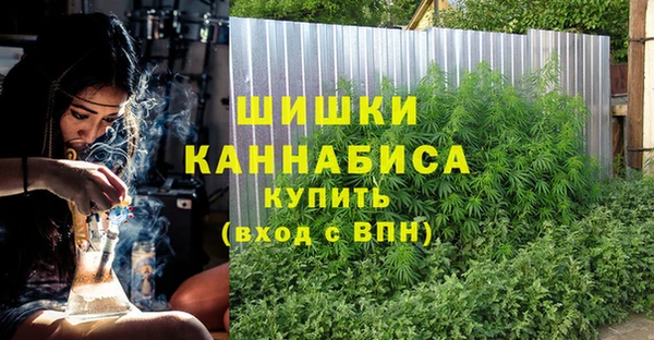 гидра Аркадак