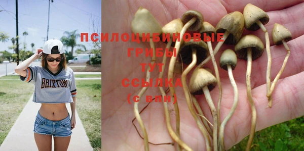 дживик Сатка